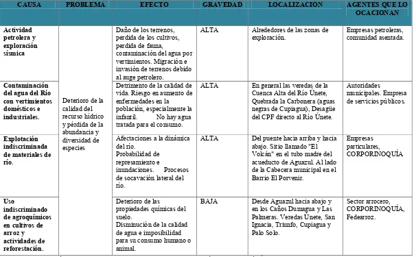 Tabla 8. Síntesis de la problemática identificada en el POMCA del Río Únete. 