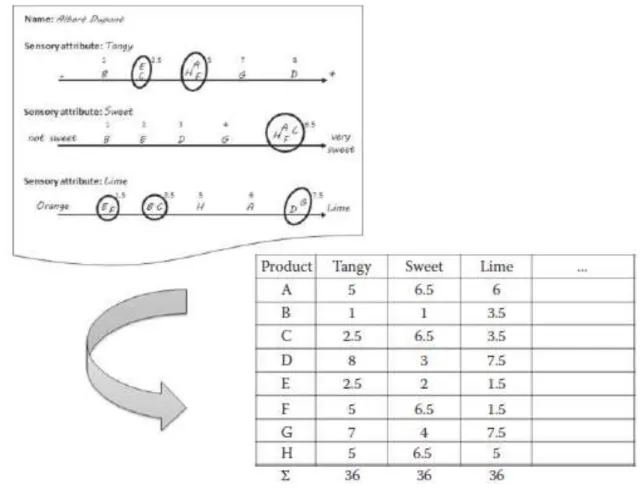 Figura 6. Codificación del resultado de un solo evaluador (Valere &amp; Ares, 2014) 