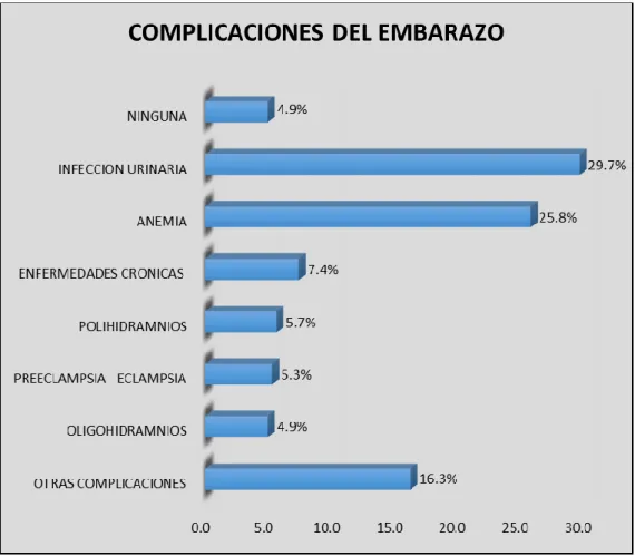 GRÁFICO N°8: 