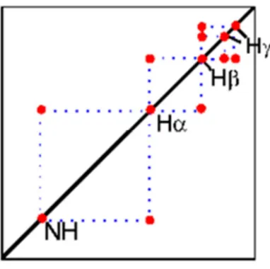 Figura 10.  Interacciones a 3 enlaces de un aminoácido en un espectro COSY. (Tomado de  http://www.biologiaosea.com.ar/files/seminarios/sem%20RMN.pdf) 
