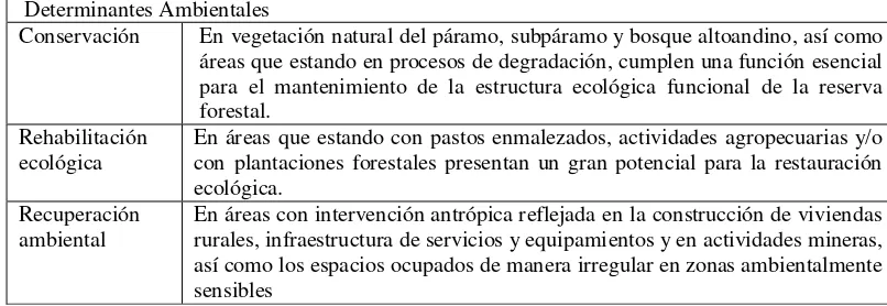 Tabla 7. Determinantes Ambientales. 