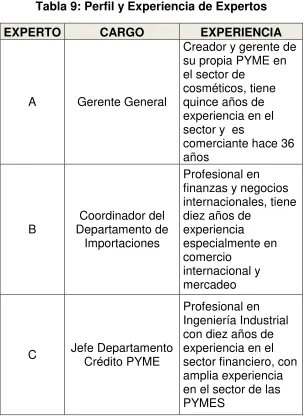 Tabla 9: Perfil y Experiencia de Expertos 