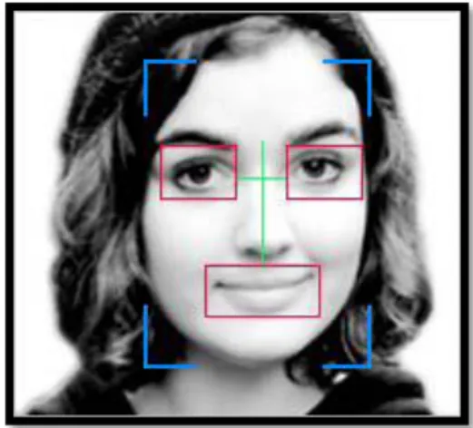 Figura 3. Rostro detectado en escala de grises 