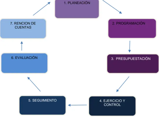 Figura 5: El proceso presupuestario 