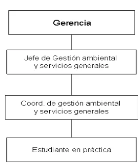 Figura 3 