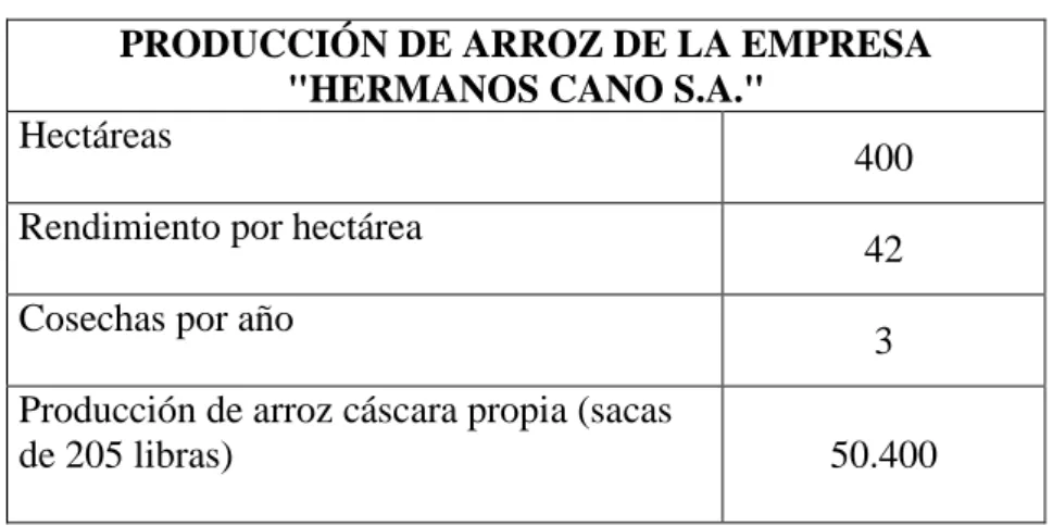 Tabla 3. Producción anual de arroz en cáscara de la empresa HERMANOS CANO S.A. 