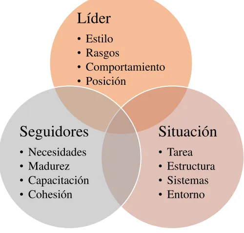 Figura 10: Enfoque de Contingencia 