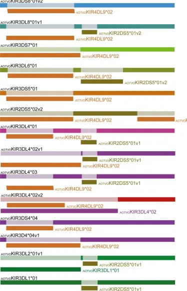 Figure 7.  Schematic representation of recombination fragments among AOTVOKIR sequences