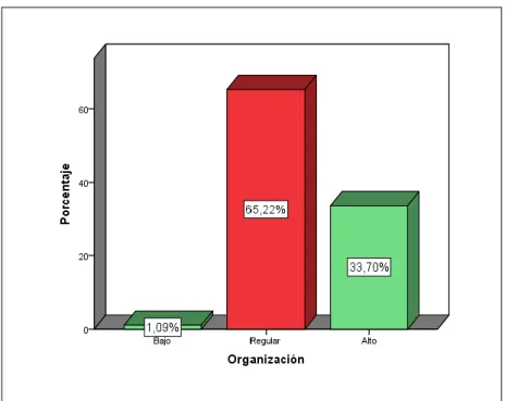 Figura 4. Dimensión - Organización 
