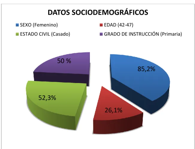 GRÁFICO N°01 