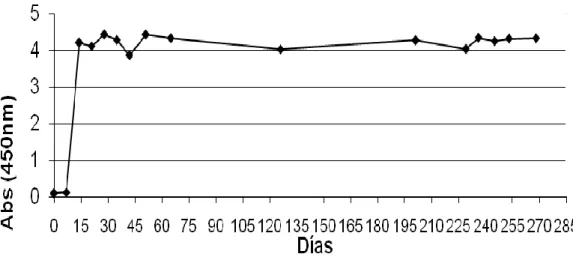 Figura 4. Título de suero de llama a una dilución de 1:800 para medir  la concentración de anticuerpos post-inoculación