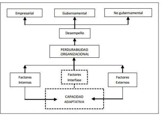 Figura 3. Perdurabilidad Empresarial