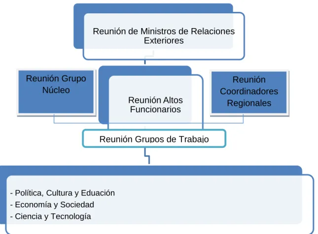 Gráfico 4: Estructura FOCALAE 