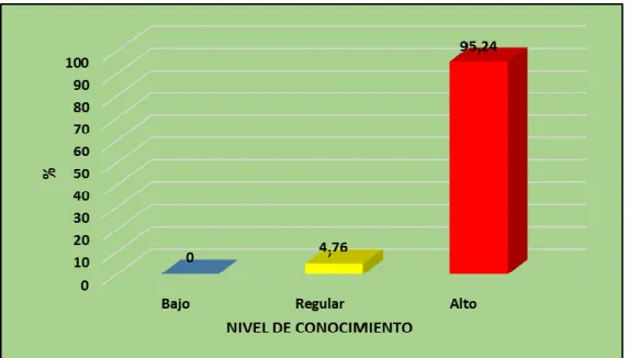 GRÁFICO N° 1 