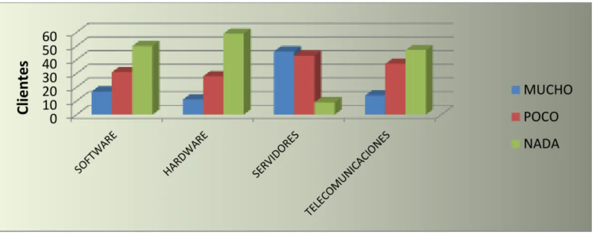 GRÁFICO 13.   