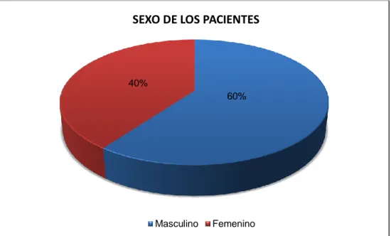 GRÁFICO Nº 1.2 