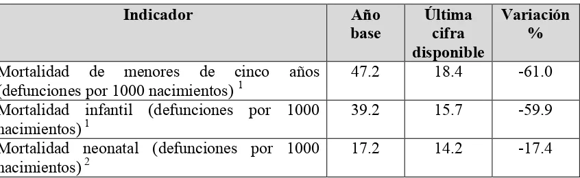 Cuadro 3.1 Indicadores de mortalidad 