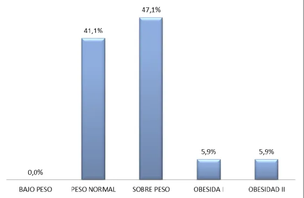 GRÁFICO N° 01 (4) 