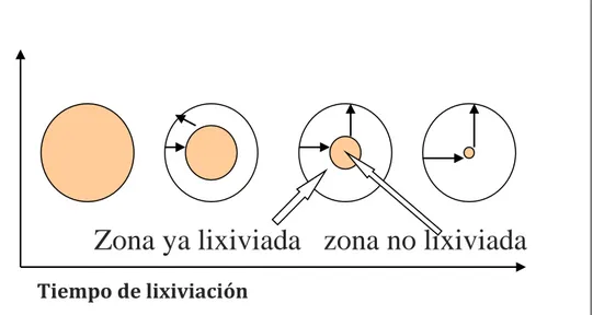 Figura 2. Velocidad de lixiviación en la superficie de reacción  Fuente: J. Izquierdo, 2004 