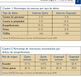 Cuadro 1: Porcentajes de internas por tipo de delito