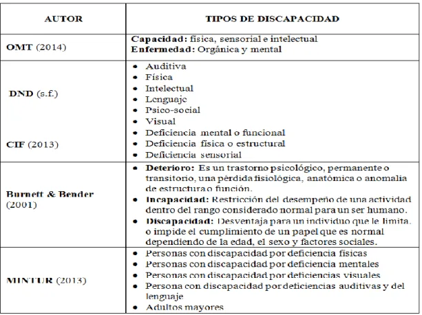 Tabla 1: Clasificación de discapacidades 