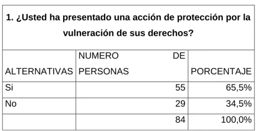 Figura 1 Presentar acción de protección por vulneración de derecho. 