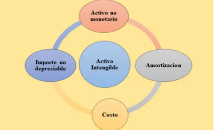 Figura 3 Activos Intangibles.  
