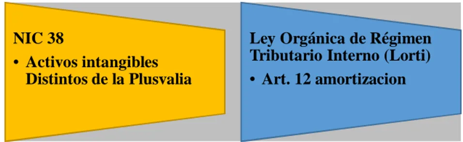 Figura 4 . Normas y reglamentos de los Activos Intangibles  Fuente: (NSC Software, s.f.) (Servicio de rentas internas, 2018)  De acuerdo a (Servicio de Rentas Internas, 2018) 