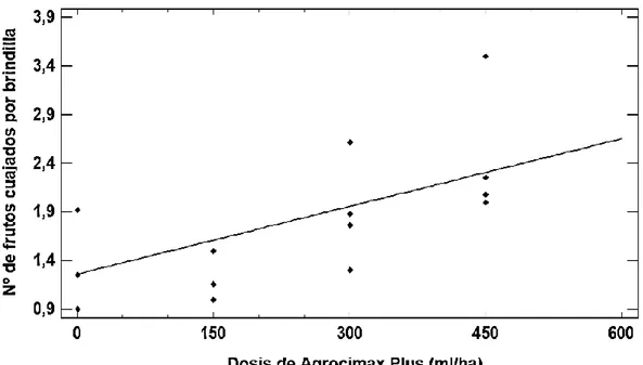Figura 3. Efecto de las dosis de Agrocimax Plus en la variación de número  de frutos cuajados por brindilla del olivo variedad Sevillana 