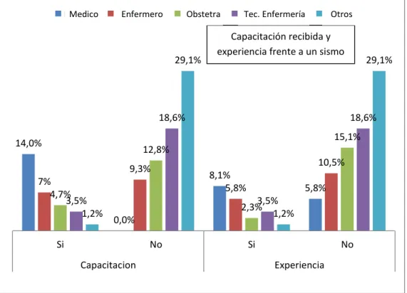 GRÁFICO N° 03 