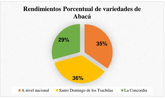 Gráfico  1.  Rendimiento  porcentual  de  variedades  de  abacá.  Elaborado  por  “Jemina  Cardenas Veliz (Autora)”, Fuente “III Censo Nacional Agropecuario”