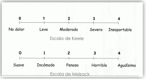 Figura 6. Escala Verbal o Descriptiva  Nota: Tomado de  (Ortiz-Gómez &amp; Perez, 2006) 