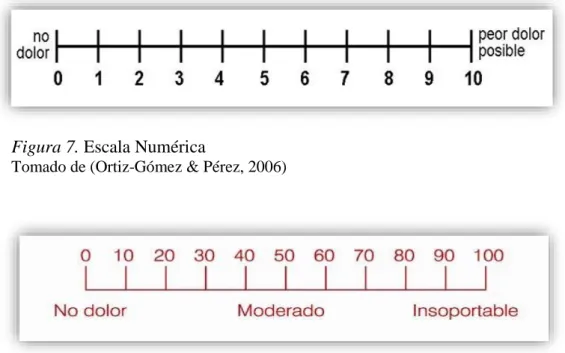 Figura 7. Escala Numérica 