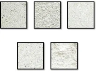 Figura 4. Catálogo de Acabados para Bloques de Concreto               De izquierda a derecha, Smooth, Shot-Blast, Honed, Polished, Split