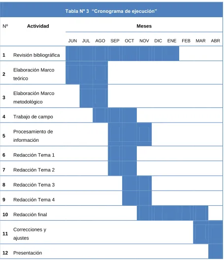 Tabla Nº 3  “Cronograma de ejecución” 