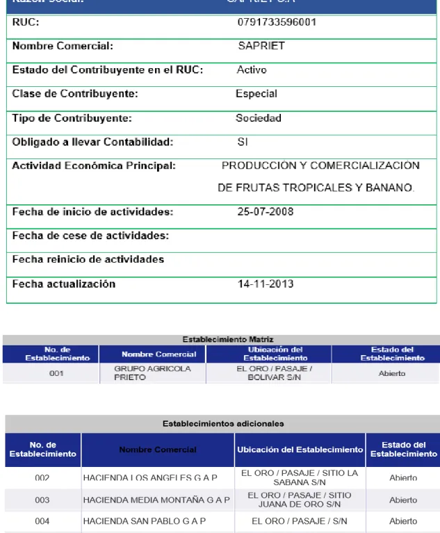 GRÁFICO No 1: RUC DE SAPRIET S.A.  