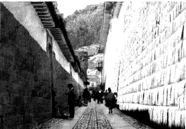 Figura 1. Los muros incas singularizan el Cusco. Fotografía del autor 