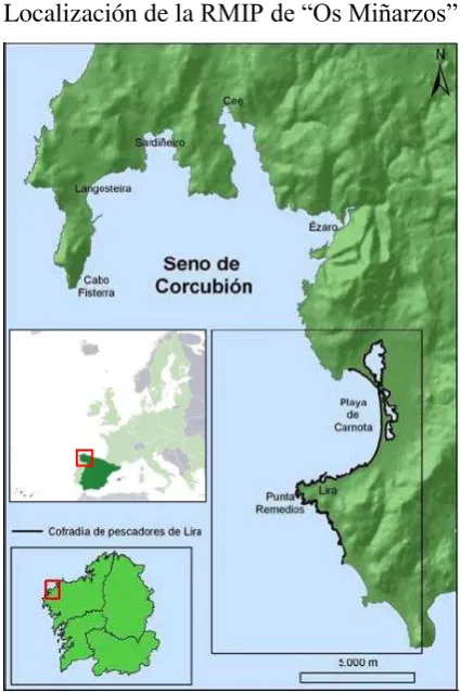 Figura 1