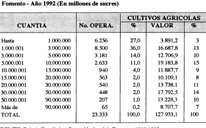 Cuadro N° 5 