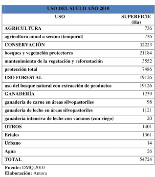 Cuadro 10. Uso del suelo en el año de 2010 