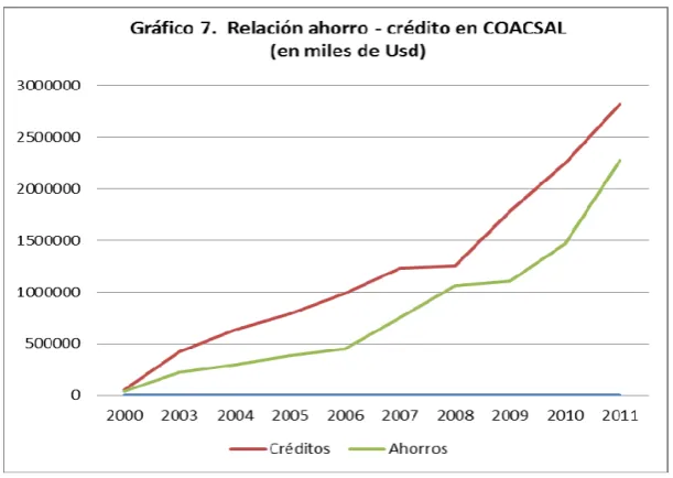 Cuadro 4. organización miembro 
