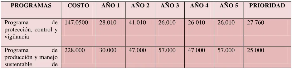 Tabla 10. Resumen financiero 