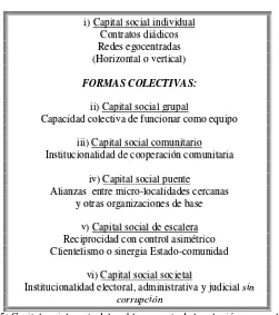 Cuadro 8: Tipos de capital social