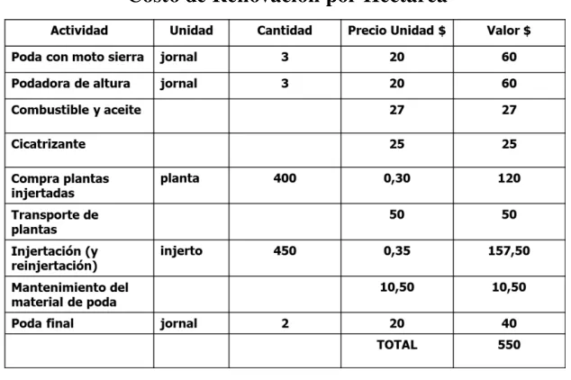 Cuadro N° 12 