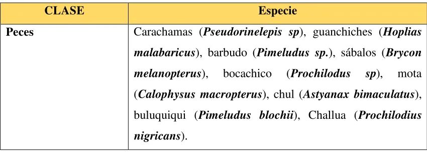 Tabla 5. Especies animales más representativas presentes en la pesca 