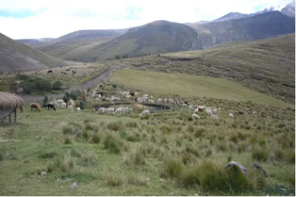 Figura 5. Una vista del relieve montañoso a las faldas del volcán Chimborazo, Comunidad Chorrera Mirador (V