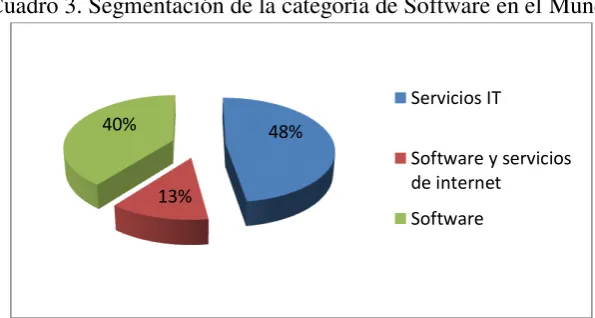 Cuadro 3. Segmentación de la categoría de Software en el Mundo 