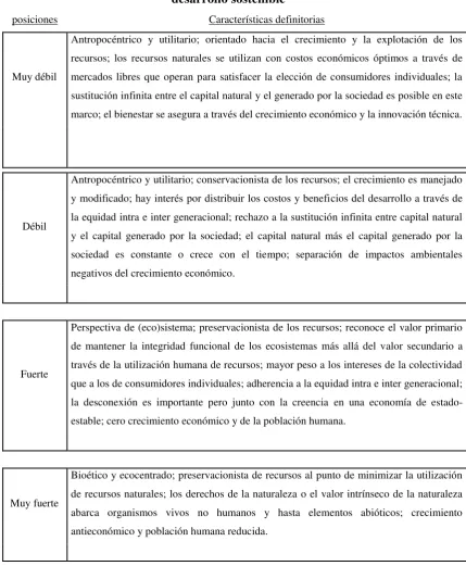 Cuadro 2.descripción simplificada del espectro de posiciones al interior del desarrollo sostenible 