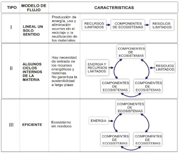 Cuadro 2. Tipos de flujos desde la perspectiva ecológica 