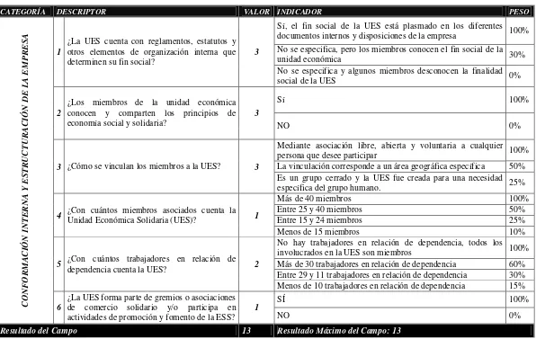 Tabla 8. Primera Categoría: Conformación Interna y Estructuración de la UES.  